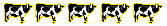 5-Cow Rating!